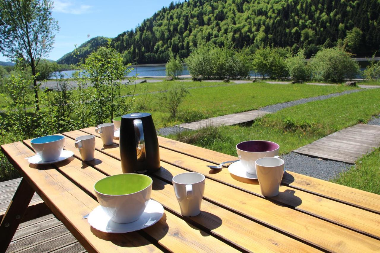 Camping Des Lacs*** Villa Celles-sur-Plaine Екстериор снимка